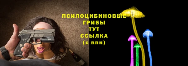 spice Арсеньев