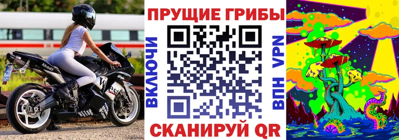 сколько стоит  hydra рабочий сайт  Галлюциногенные грибы мухоморы  Инсар 
